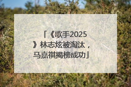 《歌手2025》林志炫被淘汰，马嘉祺揭榜成功