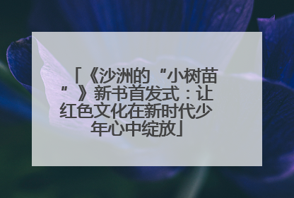 《沙洲的“小树苗”》新书首发式：让红色文化在新时代少年心中绽放