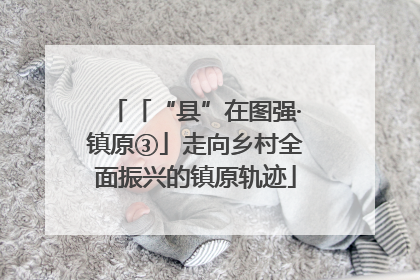 「“县”在图强·镇原③」走向乡村全面振兴的镇原轨迹