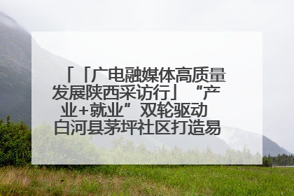 「广电融媒体高质量发展陕西采访行」“产业+就业”双轮驱动 白河县茅坪社区打造易地搬迁后扶新样本