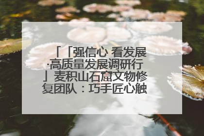 「强信心 看发展·高质量发展调研行」麦积山石窟文物修复团队：巧手匠心触摸“光阴的故事”