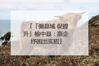 「强县域 促提升」榆中县：惠企纾困出实招