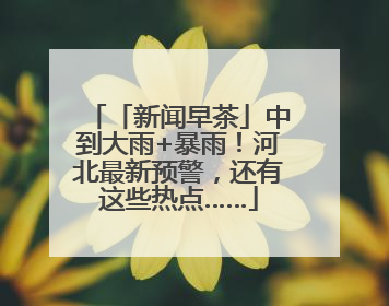 「新闻早茶」中到大雨+暴雨！河北最新预警，还有这些热点……