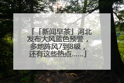 「新闻早茶」河北发布大风蓝色预警，多地阵风7到8级，还有这些热点……