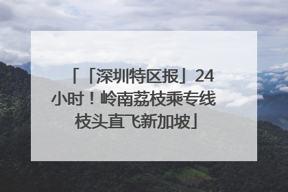 「深圳特区报」24小时！岭南荔枝乘专线 枝头直飞新加坡