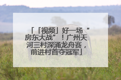 「视频」好一场“房东大战”！广州天河三村深涌龙舟赛，前进村首夺冠军