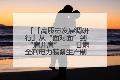 「高质量发展调研行」从“面对面”到“肩并肩”——甘肃全利电力装备生产制造项目一线见闻