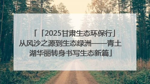 「2025甘肃生态环保行」从风沙之源到生态绿洲——青土湖华丽转身书写生态新篇