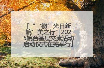 “‘徽’光日新‘皖’美之行”2025皖台基层交流活动启动仪式在芜举行