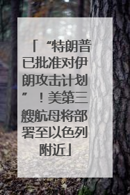 “特朗普已批准对伊朗攻击计划”！美第三艘航母将部署至以色列附近
