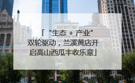“生态 + 产业”双轮驱动，兰溪黄店开启高山西瓜丰收乐章