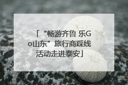 “畅游齐鲁 乐Go山东”旅行商踩线活动走进泰安