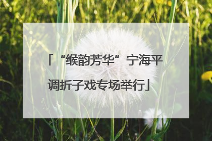 “缑韵芳华”宁海平调折子戏专场举行