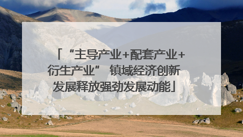 “主导产业+配套产业+衍生产业” 镇域经济创新发展释放强劲发展动能