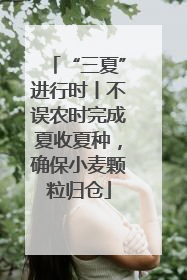 “三夏”进行时丨不误农时完成夏收夏种，确保小麦颗粒归仓