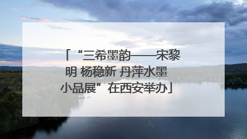 “三希墨韵——宋黎明 杨稳新 丹萍水墨小品展”在西安举办