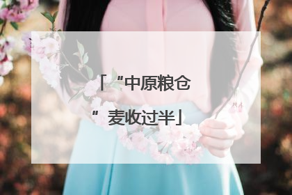 “中原粮仓”麦收过半