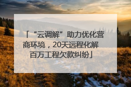 “云调解”助力优化营商环境，20天远程化解百万工程欠款纠纷