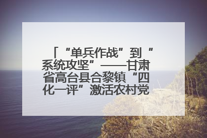 “单兵作战”到“系统攻坚”——甘肃省高台县合黎镇“四化一评”激活农村党员管理新引擎