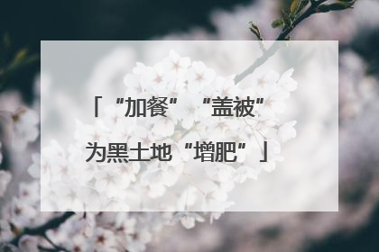 “加餐”“盖被” 为黑土地“增肥”