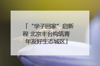 “学子回家”启新程 北京丰台构筑青年友好生态城区