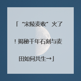 “宋陵麦收”火了！揭秘千年石刻与麦田如何共生→