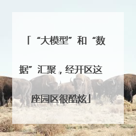 “大模型”和“数据”汇聚，经开区这座园区很酷炫