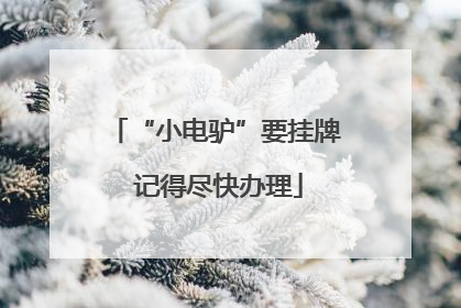 “小电驴”要挂牌 记得尽快办理