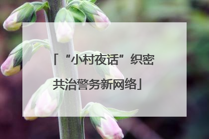 “小村夜话”织密共治警务新网络