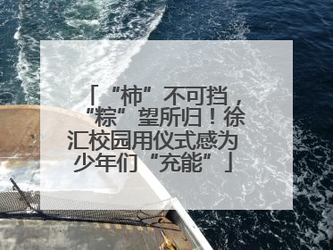 “柿”不可挡，“粽”望所归！徐汇校园用仪式感为少年们“充能”