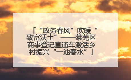 “政务春风”吹暖“致富沃土”——莱芜区商事登记直通车激活乡村振兴“一池春水”