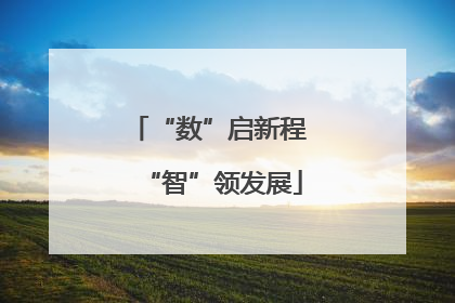 “数”启新程 “智”领发展