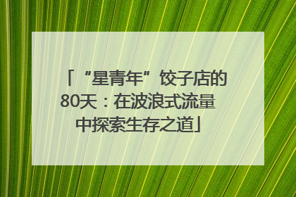 “星青年”饺子店的80天：在波浪式流量中探索生存之道