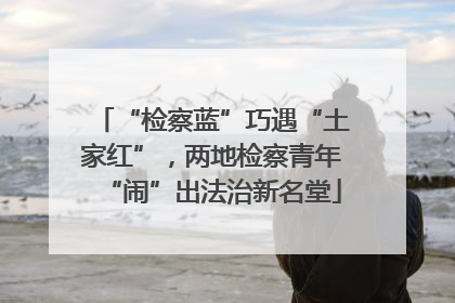 “检察蓝”巧遇“土家红”，两地检察青年“闹”出法治新名堂