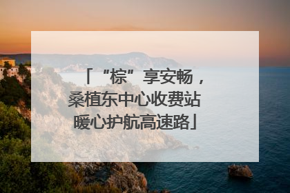 “棕”享安畅，桑植东中心收费站暖心护航高速路