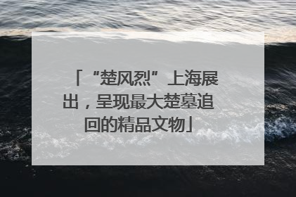 “楚风烈”上海展出，呈现最大楚墓追回的精品文物
