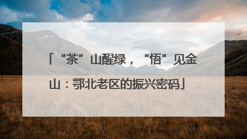 “茶”山醒绿，“悟”见金山：鄂北老区的振兴密码