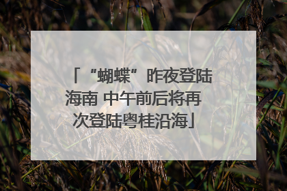 “蝴蝶”昨夜登陆海南 中午前后将再次登陆粤桂沿海