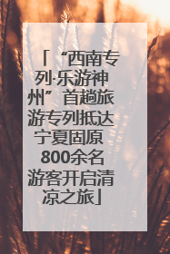 “西南专列·乐游神州”首趟旅游专列抵达宁夏固原 800余名游客开启清凉之旅