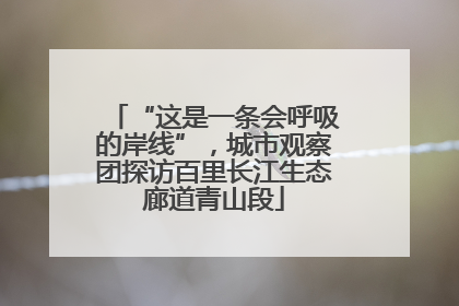 “这是一条会呼吸的岸线”，城市观察团探访百里长江生态廊道青山段