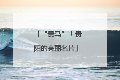 “贵马”！贵阳的亮丽名片