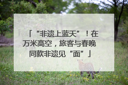 “非遗上蓝天”！在万米高空，旅客与春晚同款非遗见“面”