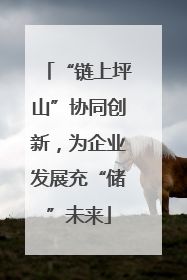 “链上坪山”协同创新，为企业发展充“储”未来