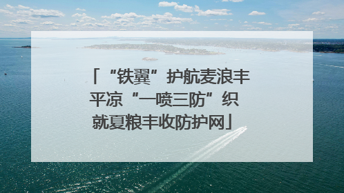 “铁翼”护航麦浪丰 平凉“一喷三防”织就夏粮丰收防护网