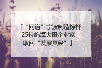 “问道”宁波制造标杆 25位临海大田企业家取回“发展真经”