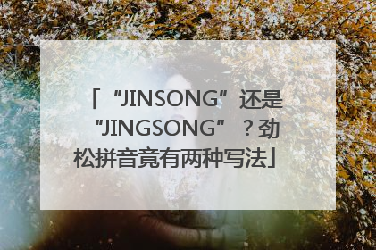 “JINSONG”还是“JINGSONG”？劲松拼音竟有两种写法