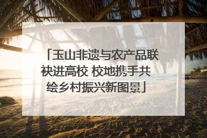 玉山非遗与农产品联袂进高校 校地携手共绘乡村振兴新图景
