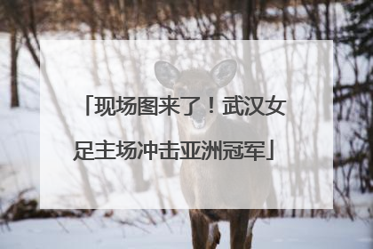 现场图来了！武汉女足主场冲击亚洲冠军