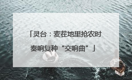 灵台：麦茬地里抢农时 奏响复种“交响曲”