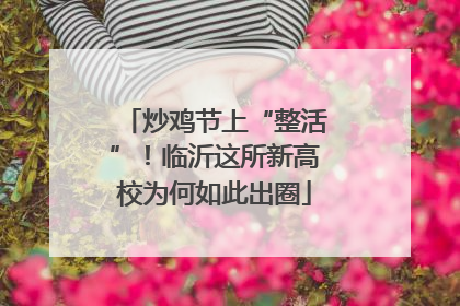 炒鸡节上“整活”！临沂这所新高校为何如此出圈